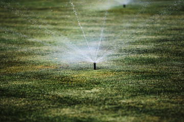 Sprinklers Automatic lawn grass irrigation system in stadium. Football, soccer field in small provincial town. Underground sprinklers spray water jets. Automation for watering and lawn care, gardening