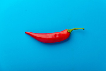 red chili pepper on a blue background