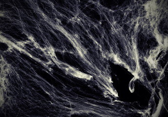 Halloween decoration background top view. copy space. Halloween creepy cobweb spiders web with a black background