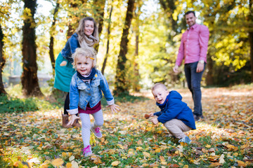 Beautiful young family with small twins on a walk in autumn forest, playing.