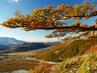 Autumn in the Patagonia, Argentina