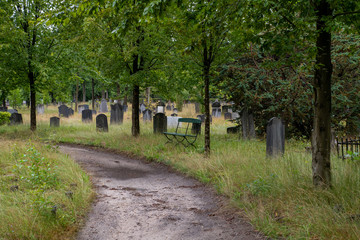 alte Grabsteine auf einer Wiese