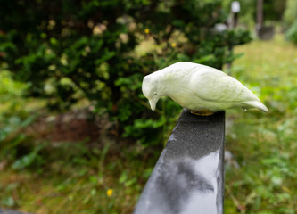weißer Vogel auf einem Grabstein