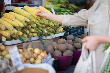 Zero waste, plastic free concept. Sustainable lifestyle. Woman chooses fruits and vegetables at farmers market. Reusable cotton and mesh eco bags for shopping.