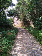 caminho das pedras