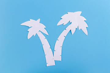 Palm trees on blue background