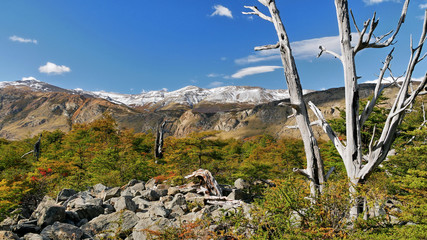 Fototapeta na wymiar Patagonia mountains, amazing landscape