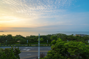 Luxuriant trees and sunrise at the seaside, Qingdao, China