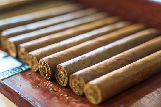 Cigars, Vinales, Pinar del Rio Province, Cuba