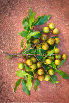 Overhead view of Mamoncillo fruit in Cuba