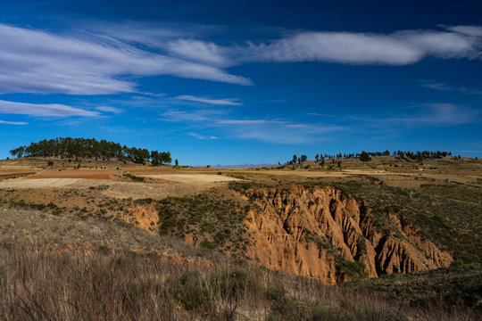 Landscape of Pampas de Lequezana, where trees have been planted to prevent soil erosion, near Potosi, Bolivia