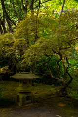 Stone lantern in the moss