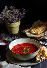 Spanish tomato soup gazpacho on a wooden background. Dark food photography.