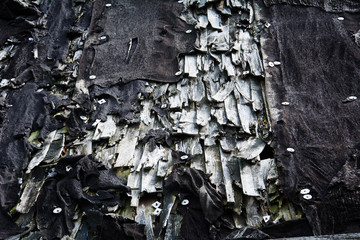 Fototapeta premium old ruined roof of an abandoned rotten house
