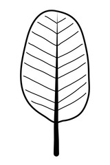 Isolated leaf design vector illustration