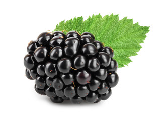 blackberry with leaf isolated on a white background closeup