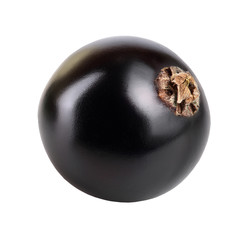 One black currant isolated on white background
