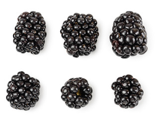 blackberry isolated on a white background closeup