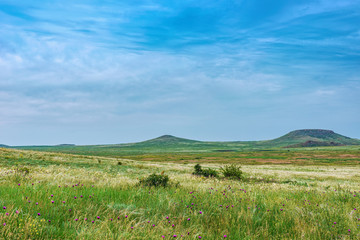 Fototapeta na wymiar Crimea steppe- landscape park. Kerch peninsula