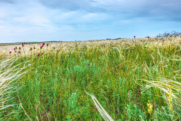 Fototapeta premium Crimea steppe- landscape park. Kerch peninsula