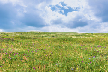 Fototapeta premium Crimea steppe- landscape park. Kerch peninsula