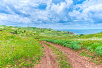 Fototapeta na wymiar Crimea nature reserve - the road to travel. Landscape park- Kerch peninsula