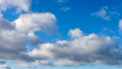Obraz premium Vibrant blue sky with white fluffy Cumulus clouds taken in the spring sunshine.