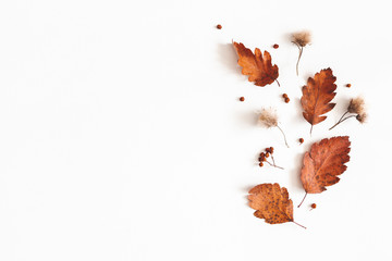 Autumn composition. Dried leaves, flowers, rowan berries on white background. Autumn, fall, thanksgiving day concept. Flat lay, top view, copy space