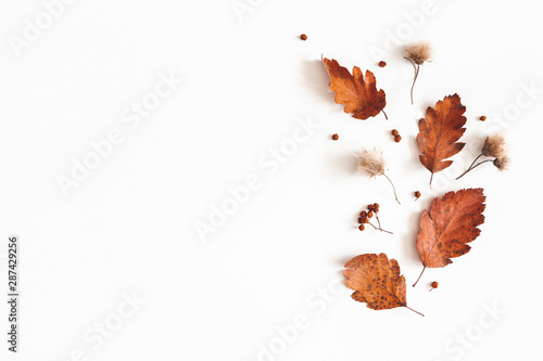 Autumn composition. Dried leaves, flowers, rowan berries on white background. Autumn, fall, thanksgiving day concept. Flat lay, top view, copy space