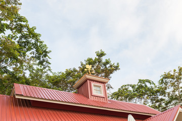 Chicken wind measure direction on the top of roof against blue sky.
