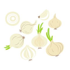 Onions flat color art set