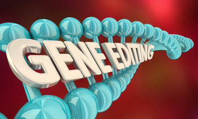 Gene Editing Genetic Splicing Modify DNA Words 3d Illustration