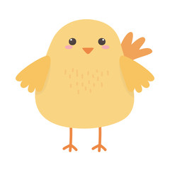 Chicken cartoon vector design vector illustration