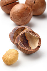 Shelled and unshelled macadamia nuts on white background