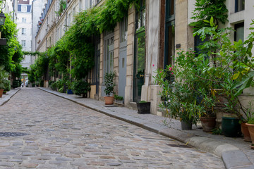 Fototapeta na wymiar Artists alley in Paris