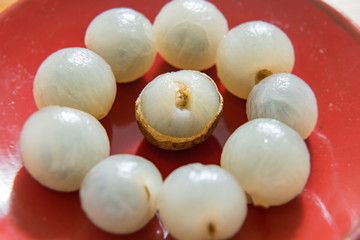 Peeled longan on a red porcelain plate isolated