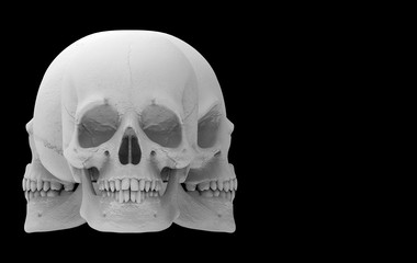 3d rendering. A several direction faces of Halloween human head skull bone isolated on black background.