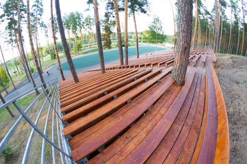 Wooden staduim in forest