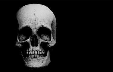 3d rendering. A horror human head skull bone on black background. Halloween banner concept.