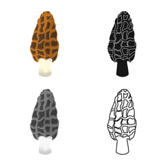 Vector illustration of morel and mushroom logo. Collection of morel and vegetarian stock vector illustration.