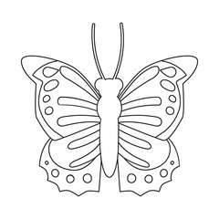 Vector illustration of butterfly and beauty icon. Set of butterfly and wildlife stock symbol for web.