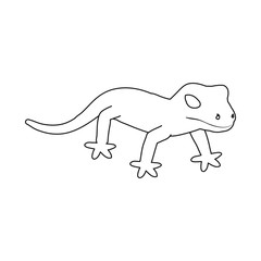Vector illustration of lizard and green icon. Set of lizard and coloring stock symbol for web.