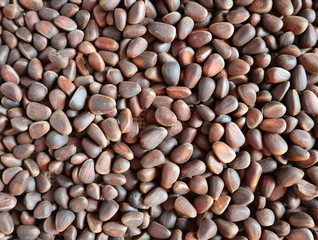 A lot of inshell pine nuts. Inshell pine nuts close-up. Background texture