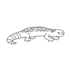 Vector design of lizard and gila icon. Collection of lizard and colored stock vector illustration.