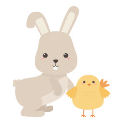 Rabbit and chicken cartoon vector design