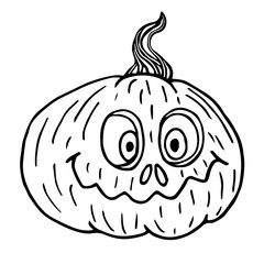 Pumpkin sketch, halloween black outline isolated, vector illustration for design and decora