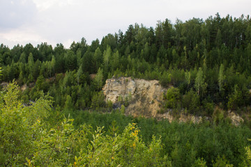 Old limestone quarry overgrown with young forest