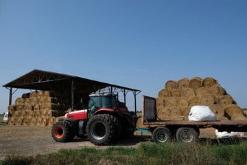 Obraz premium Stacks Of Hay Bales and tractor in farmland - Zulawy (Marshland), Żuławy Elbląskie, Poland