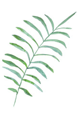 Palm leaf, green fern. Bright tropical leaves of saturated green colors and multi-colored flowers of the rainforest. Watercolor hand-drawn illustration