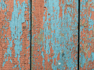 Color-Peel wood texture. Old wooden painted light blue rustic fence, paint peeling background